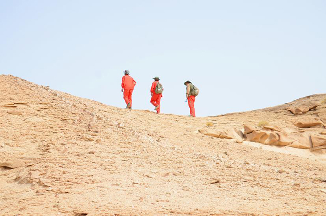 利来w66(中国区)_来利国际旗舰